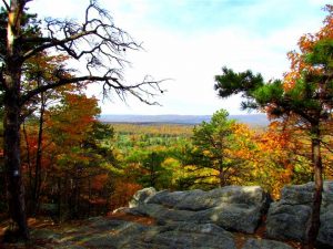 Fall View For Miles