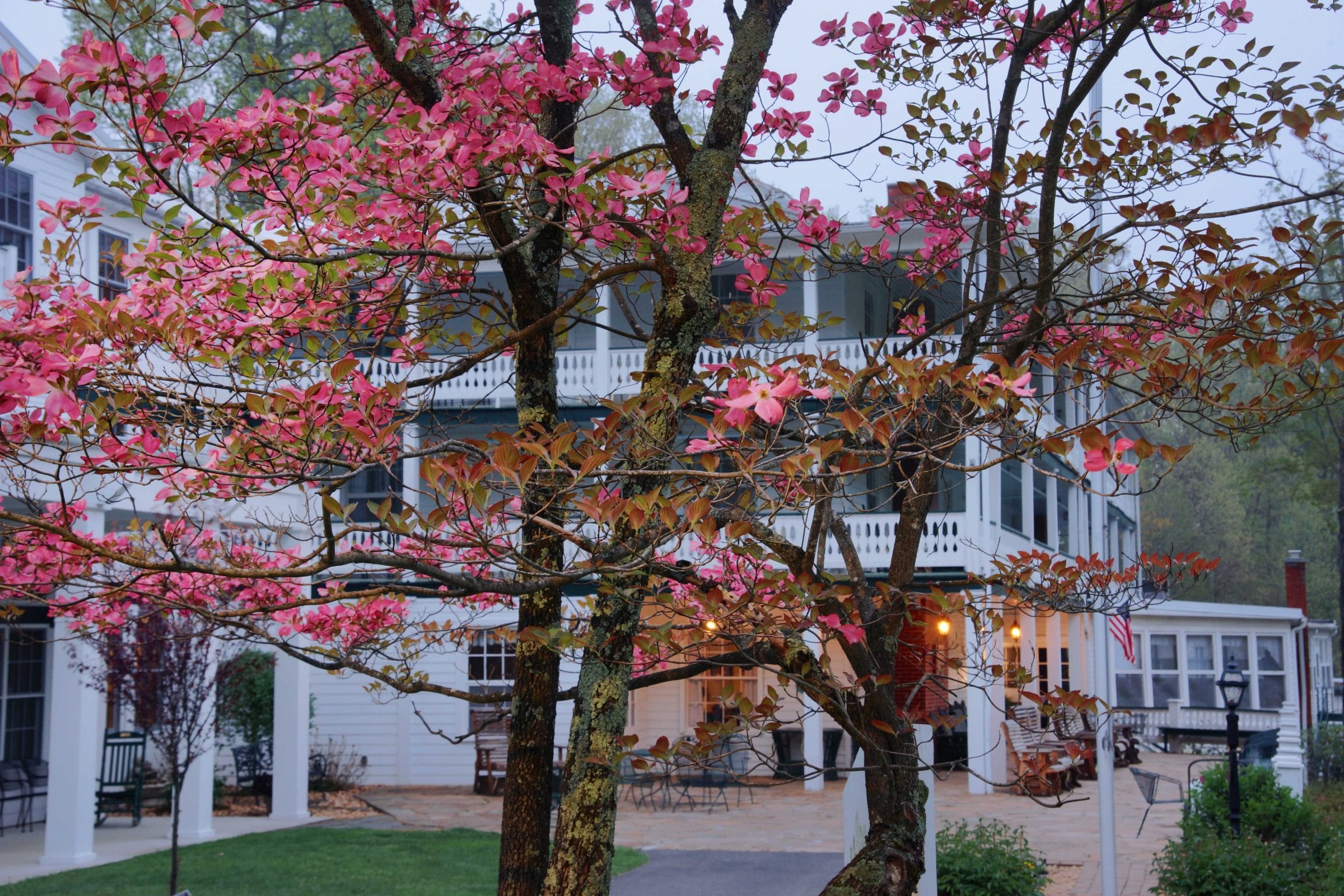 2024 Season Current Openings Capon Springs